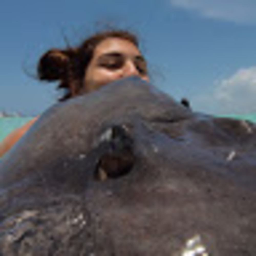 Meet your Posher, Caitlyn